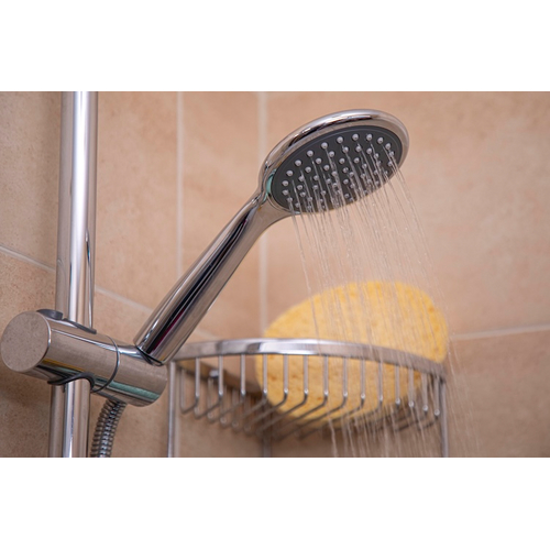 Regulated Shower Head