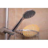 Regulated Shower Head
